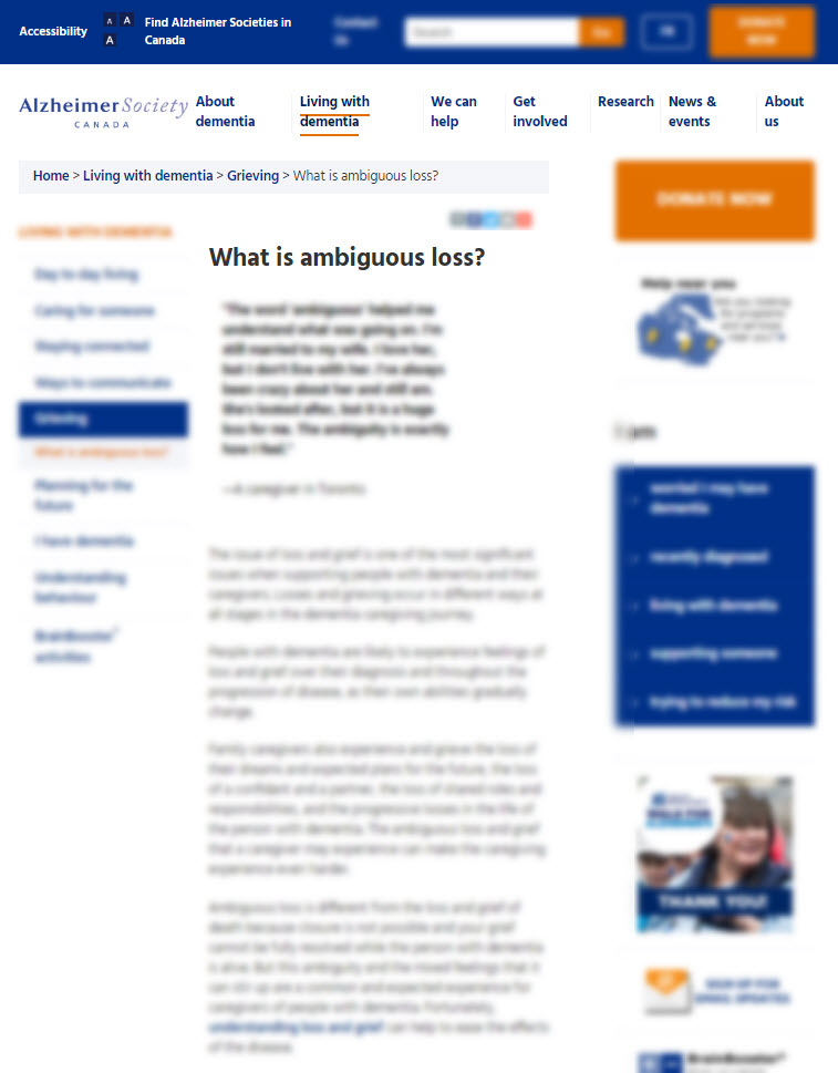 What is Ambiguous Loss?